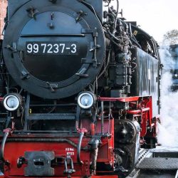 blog-opt-(2)